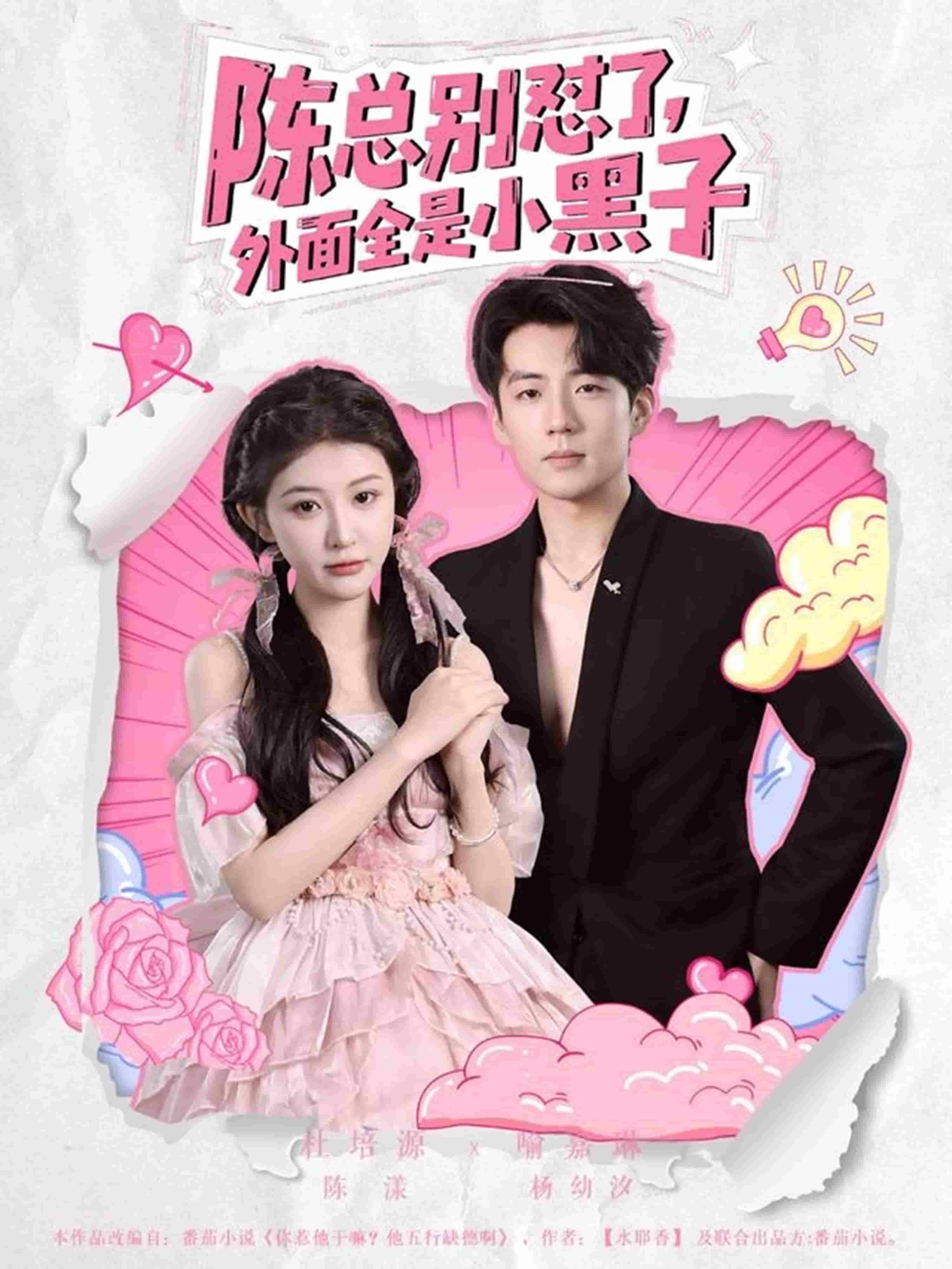 陈总别怼了外面全是小黑子(全集)